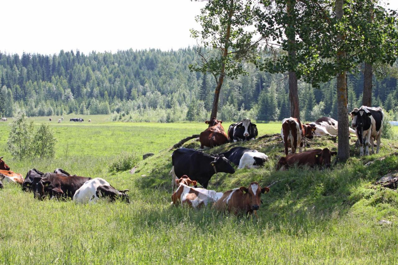 Maekelaen Lomatuvat Bed And Breakfast Korkeakoski  Dış mekan fotoğraf